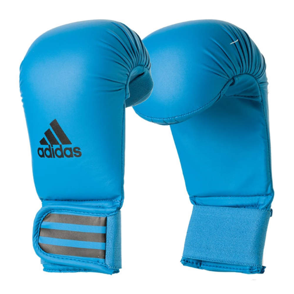 Picture of adidas karate gloves