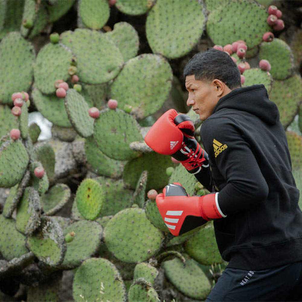 Picture of Cactus & boxing land