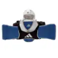 Picture of adidas taekwondo team sportska torba
